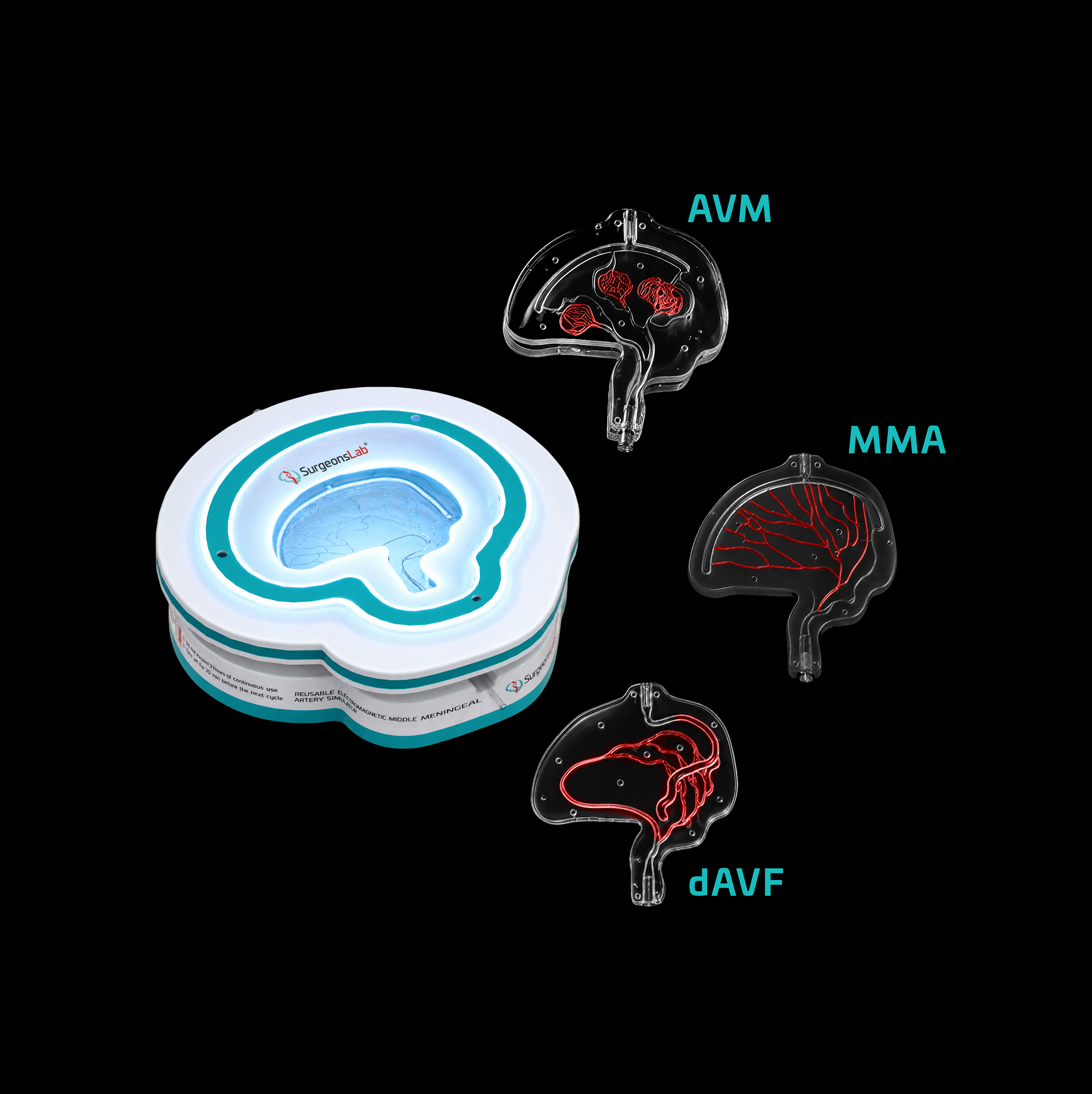 Neurovascular Education Set