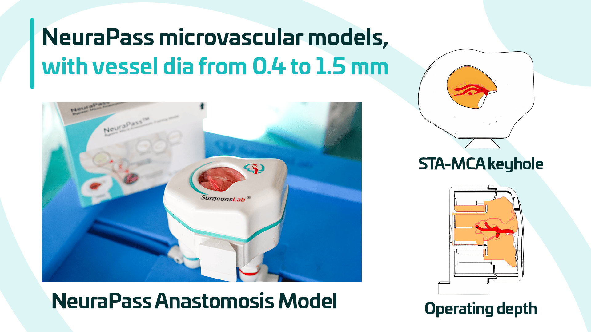 NeuraPass microvascular anastomosis training models | SurgeonsLab