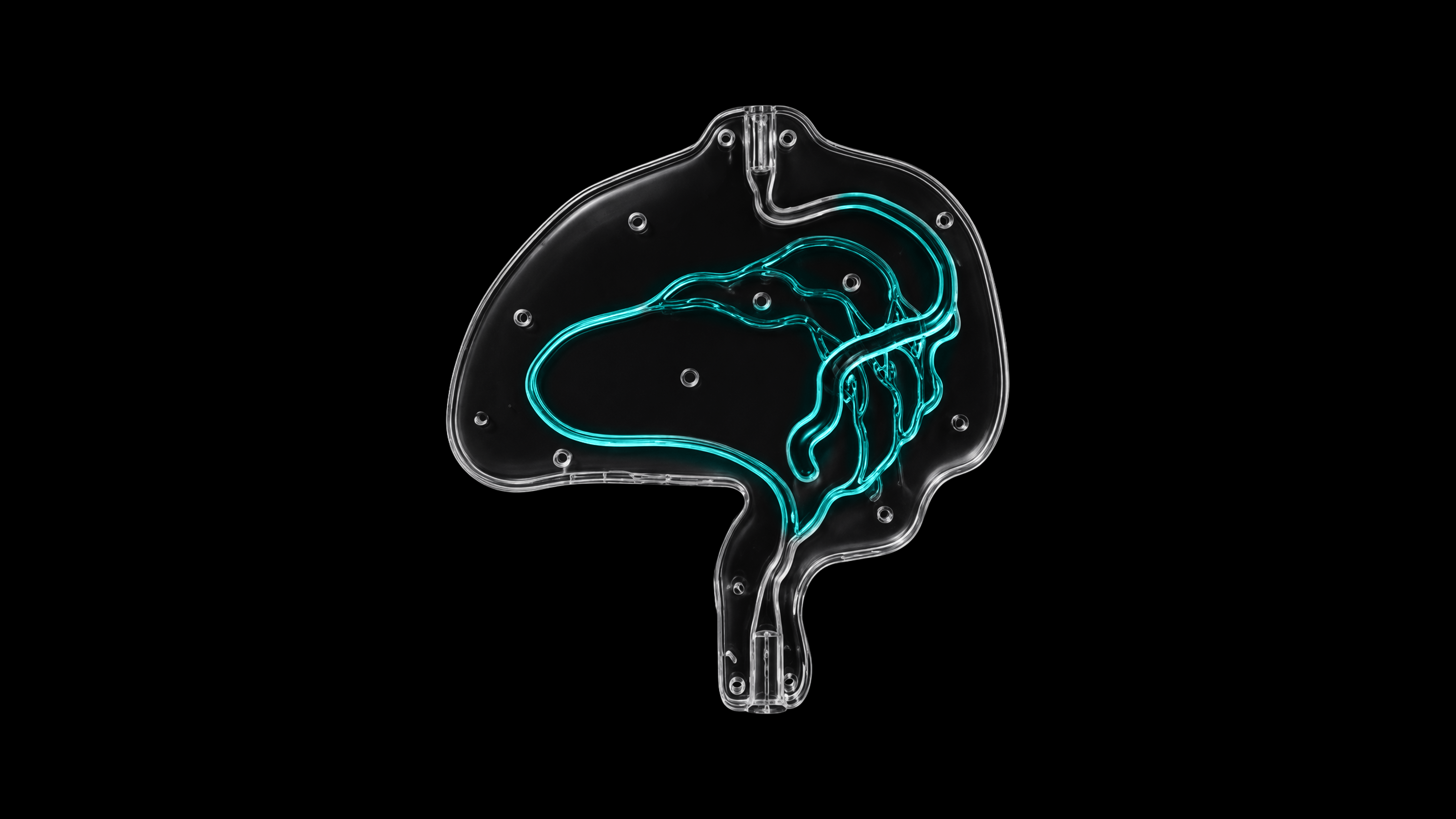 DAVF-style vascular module showing dural sinus pathway | SurgeonsLab