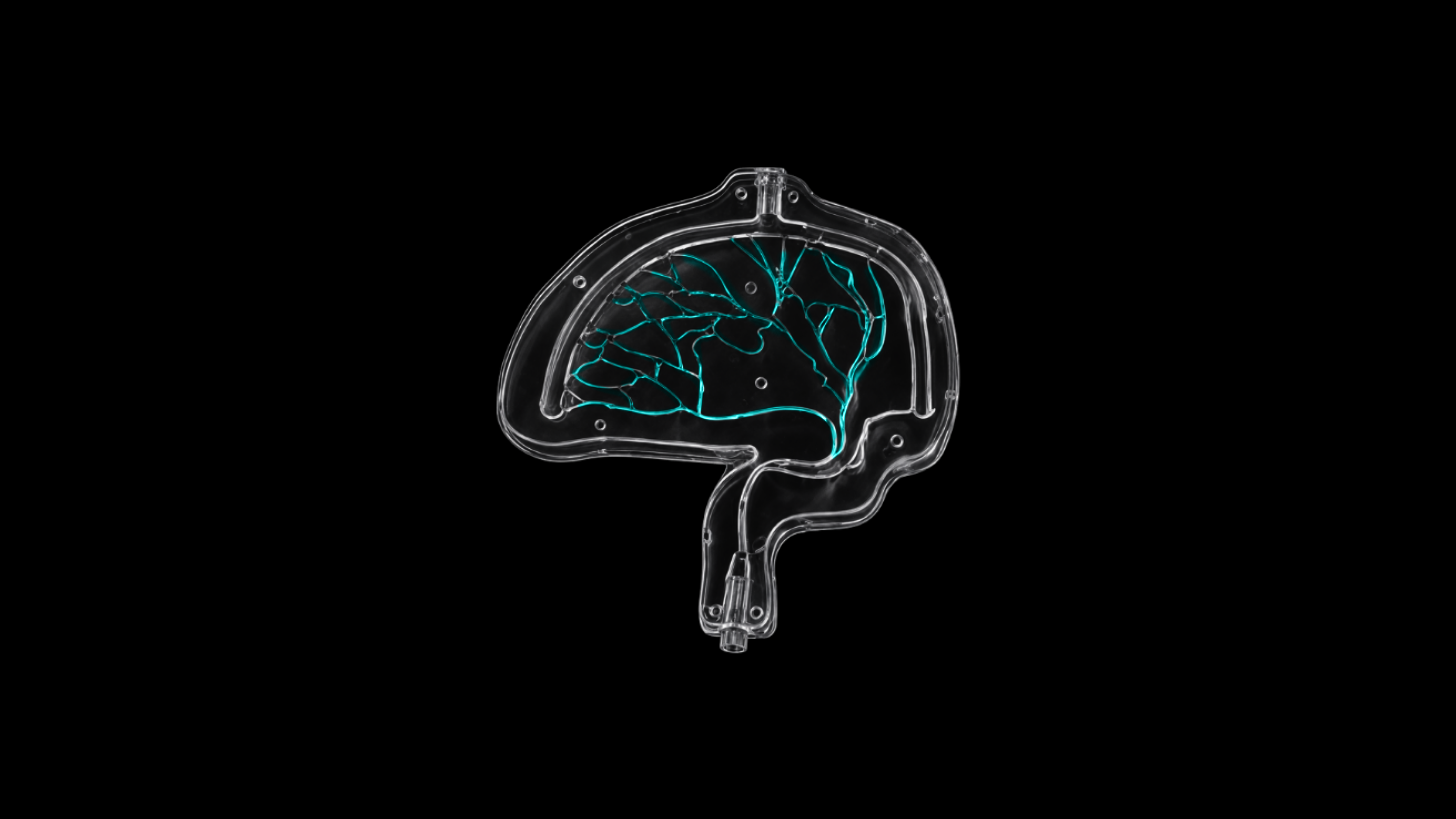 Fine-vessel MMA training module | SurgeonsLab