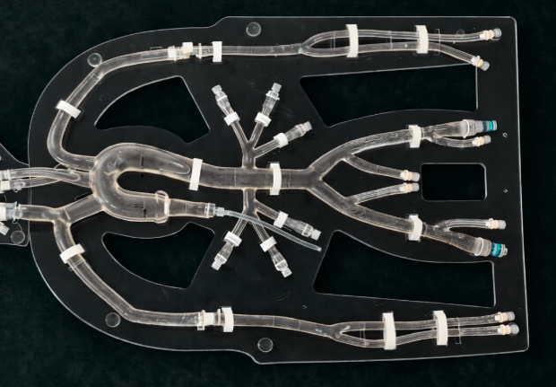Endovascular Flat 2D Flow Model 