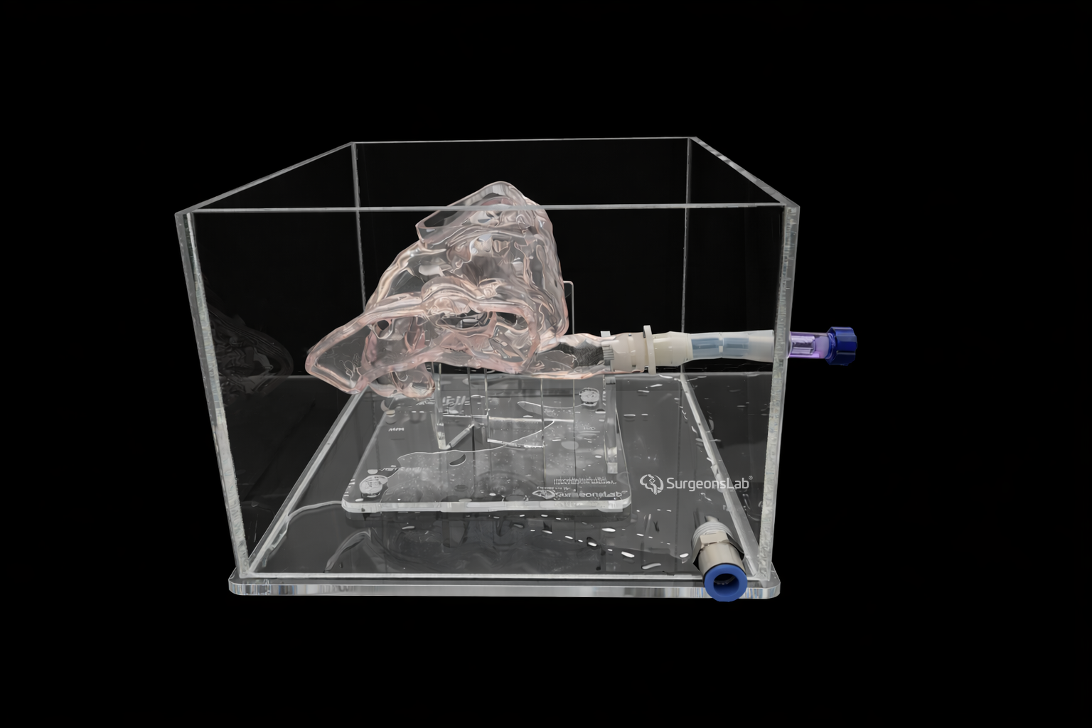 Patent Ductus Arteriosus(PDA) Model