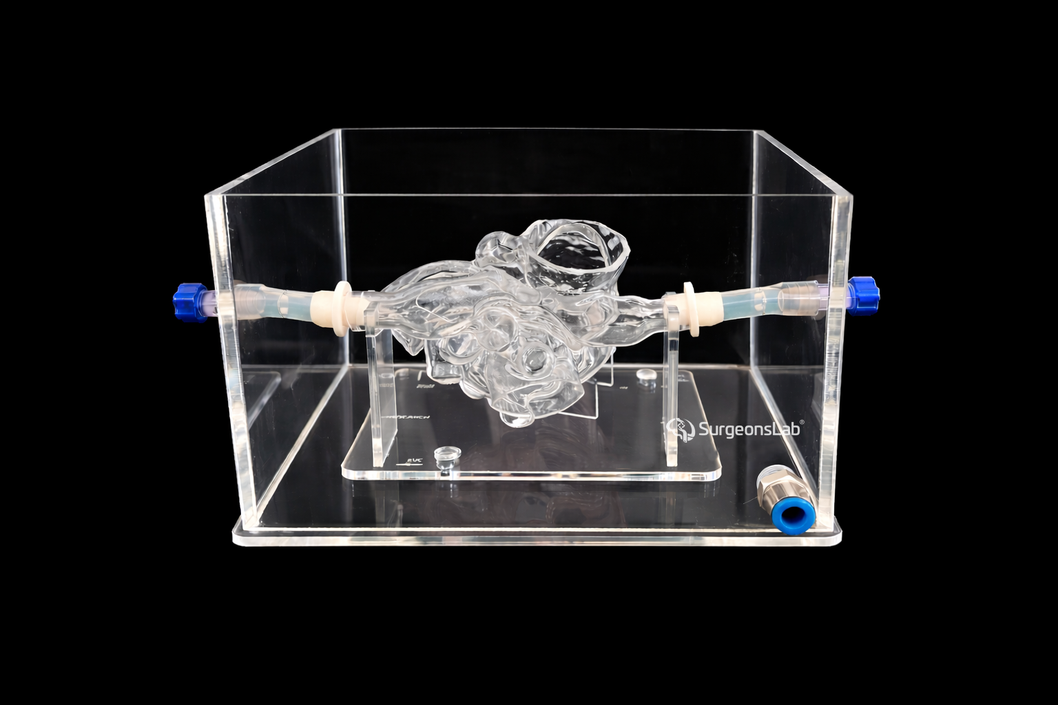 Patent Foramen Ovale(PFO) Model