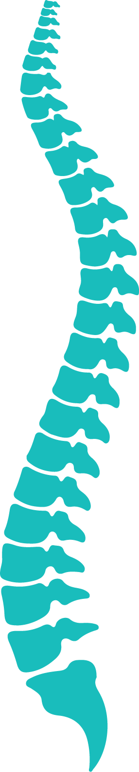 Surgical Spine - Cervical Model