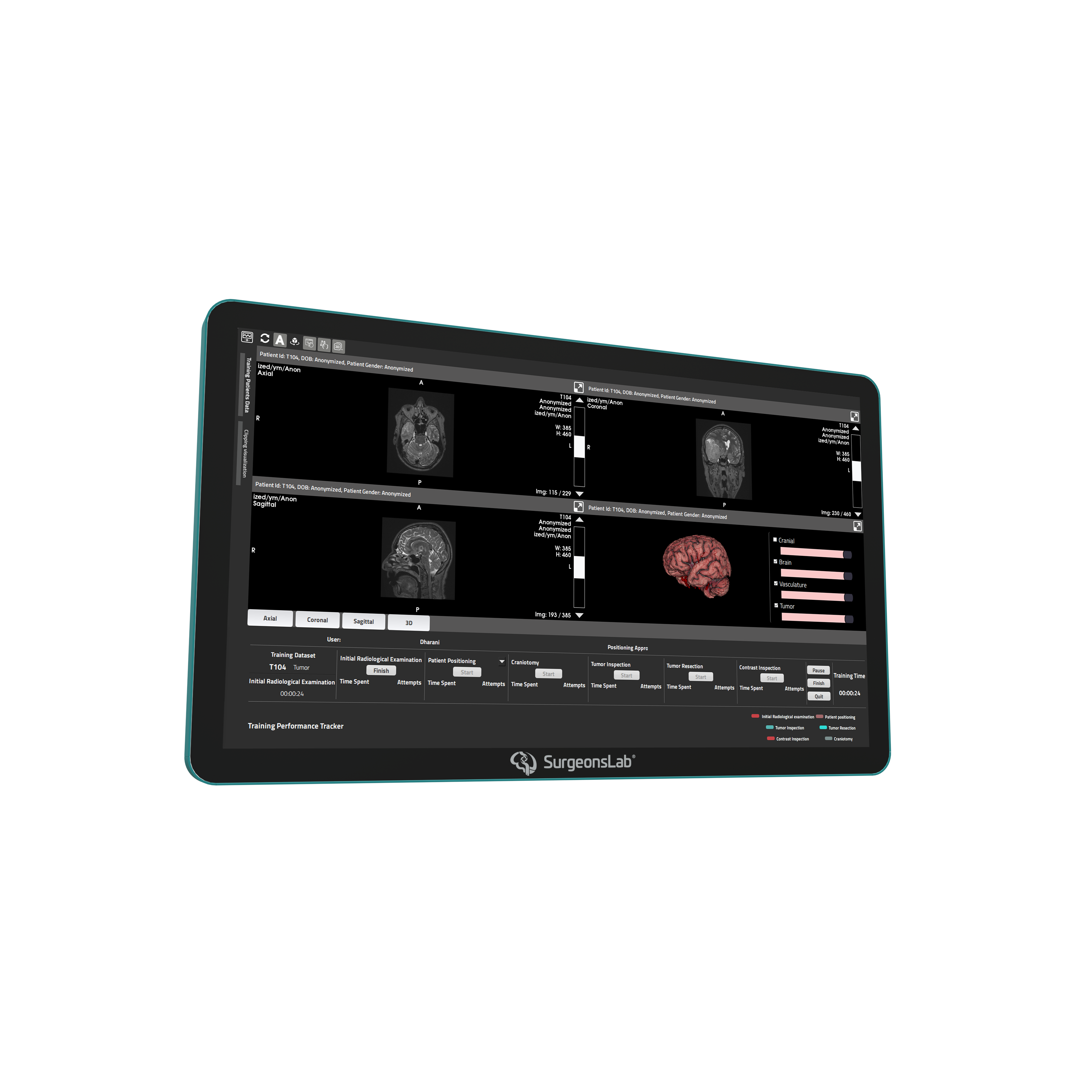Medical Imaging & Visualization